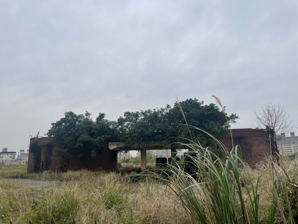 Two trees growing against the last standing brick wall of Radio Corporation of America's (RCA) former factory in Taoyuan, Taiwan